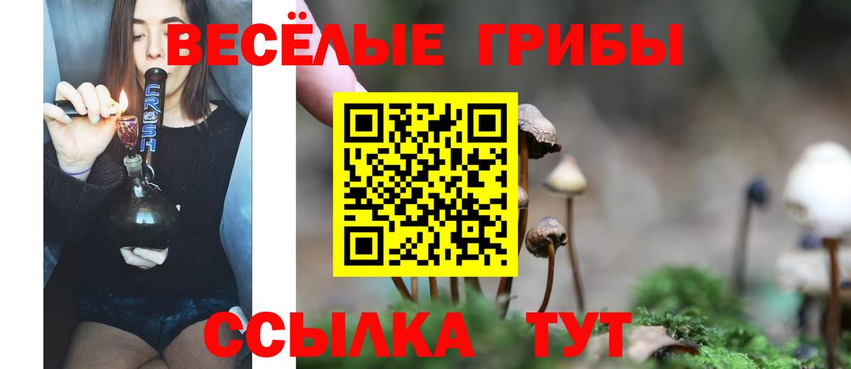 Галлюциногенные грибы Psilocybe  Вход с VPN  Псилоцибиновые грибы Psilocybe  Елабуга 